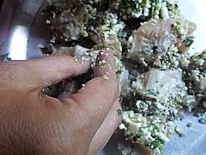 Marinating the Shaan E Murgh