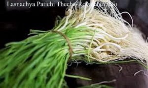 Lasnachya Patichi Thecha-Chutney