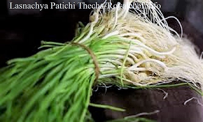 Lasnachya Patichi Thecha-Chutney