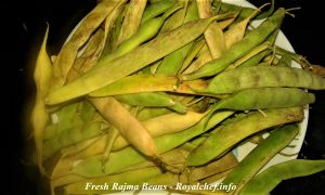 Rajma Beans