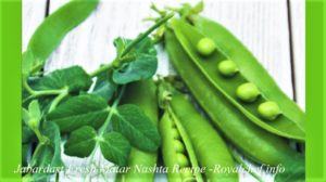 Green Peas Breakfast Recipe in Marathi