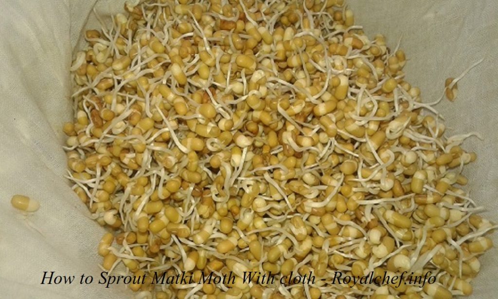 How to Sprout Matki Moth With cloth Royal Chef Sujata