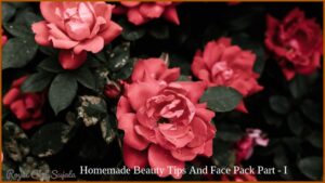 Homemade Beauty Tips And Face Pack Part - I