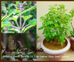 Amazing Health Benefits Of Tulsi Leaves (Holy Basil Leaves)