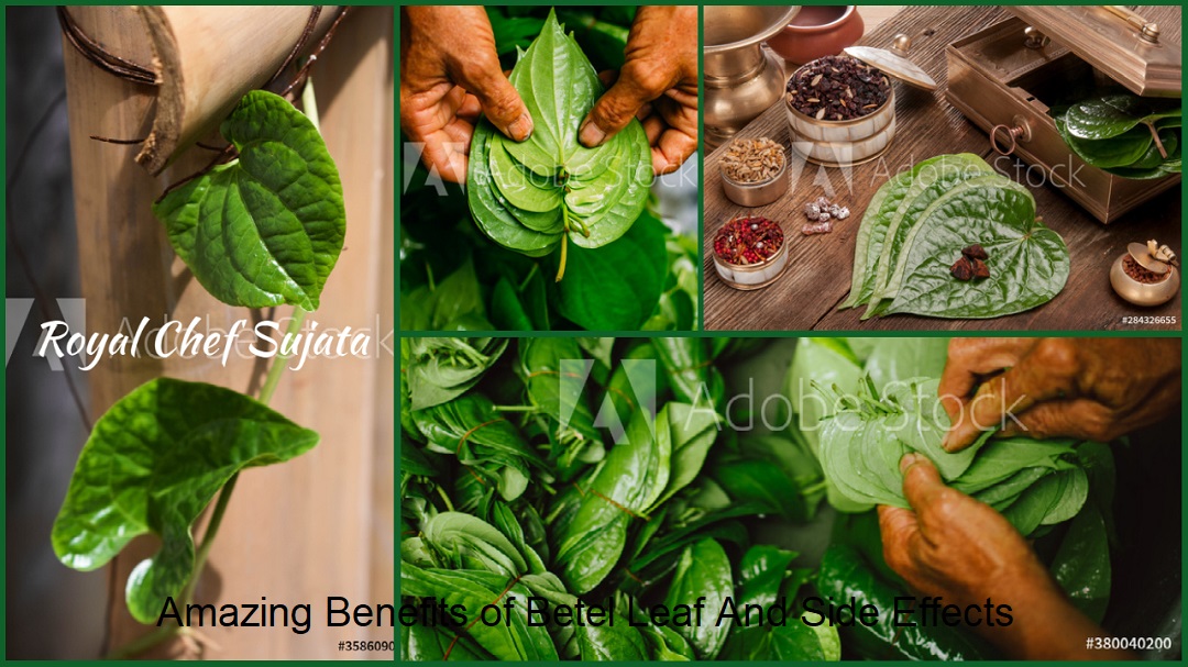 Amazing Benefits of Betel Leaf And Side Effects