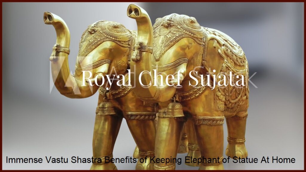 Immense Vastu Shastra Benefits of Keeping Elephant of Statue At Home In