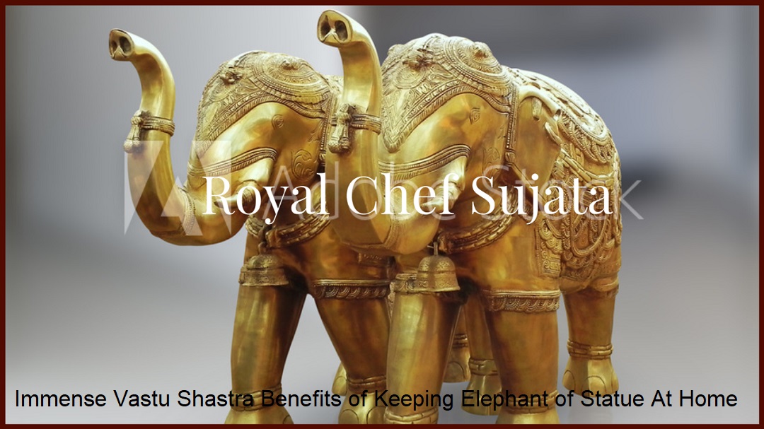 Immense Vastu Shastra Benefits of Keeping Elephant of Statue At Home