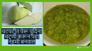 Zatpat Peru Pudina Chutney Guava Chutney Amrud Chutney 