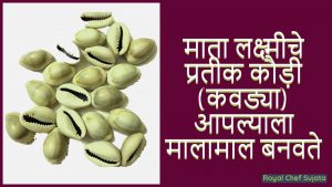 Symbol of Goddess Lakshmi Cowries 