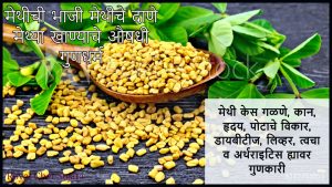 Health benefits of Fenugreek seeds