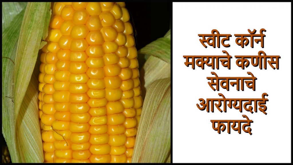 Health Benefits of Sweet Corn In Marathi Royal Chef Sujata