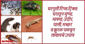 Home Remedies Tricks Tips