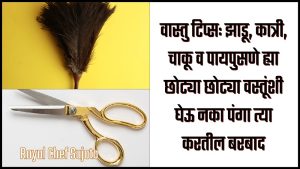 Vastu Tips: Zadu, Katri, Chaku, Paypusne