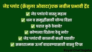 Jade Plant Vastu Tips 
